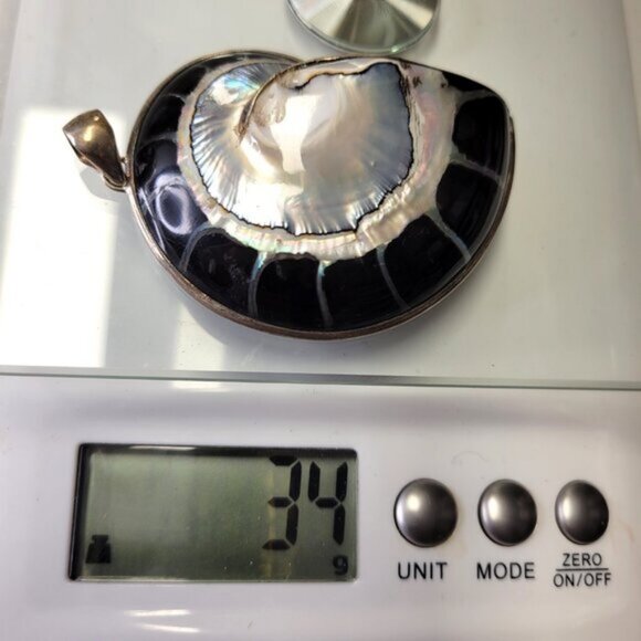 Nautilus Shell Pendant with 925 Sterling Silver- NEW! - Picture 13 of 14